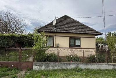 Casă cu 2 camere cu Teren 88 Mp în Mica - 1