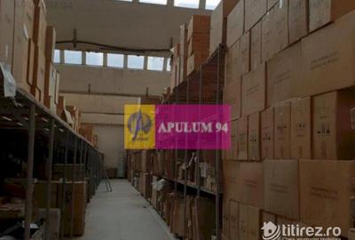 Hala 3600mp zona de Sud a capitalei - 23