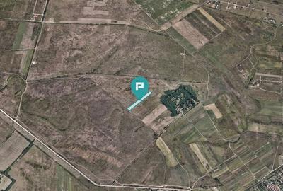 Teren Construcții extravilan de 10000 mp, în Moșnița Nouă - 1