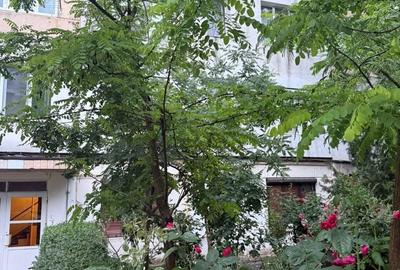 Apartament cu 2 camere decomandat în Sârbi - 7