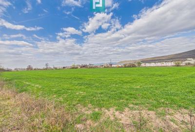 Teren agricol extravilan de 10000 mp, în Sud-Est - 2