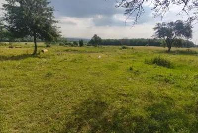 Casă cu 3 camere cu Teren 5000 Mp în Rădăuți - 1