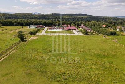 Complex ”BRANDUȘA”- de vânzare | Valea Avrigului - 6