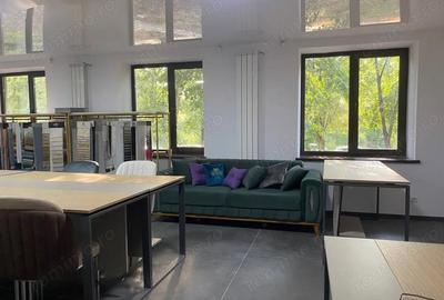 Spațiu comercial, de 58 mp, în Timpuri Noi - 6