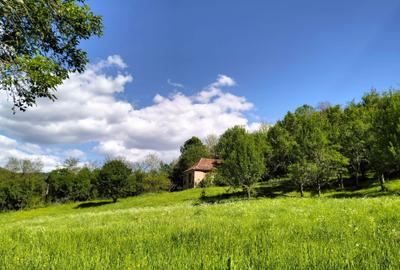 Casă cu 2 camere decomandat în Mada - 3