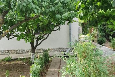 Vanzare 3 case moderne + 3 anexe si 2000 mp teren gradina, pomi in Tuzla la mare - 27