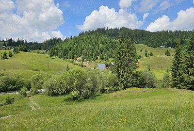 Teren de 36255 mp, în Breaza - 3