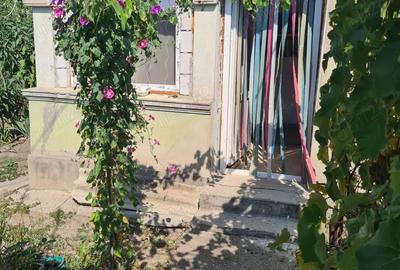 Casă cu Teren 700 Mp în Corbii Mari - 4