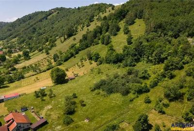 Teren de 1449 mp, în Moieciu - 8