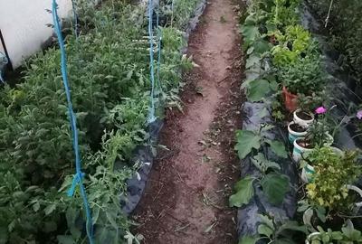 Casa noua cu mansarda si 1.24 hectare teren intravilan - 1