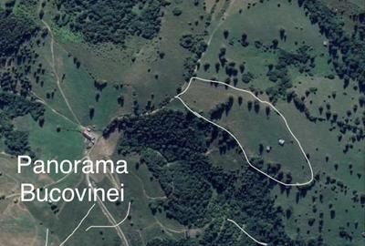 Teren de 30000 mp, în Sadova - 4