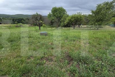 Teren intravilan cu PUZ aprobat, 858 mp, in Faget - 3