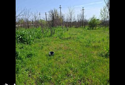 Teren de 4908 mp, în Bariera Vâlcii - 1