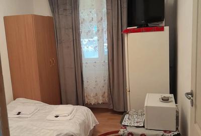 Garsonieră nedecomandată în Craiovița Nouă - 3