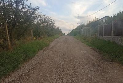 De vanzare terenuri intravilane pe strada Nucului in Sfantu Gheorghe - 6