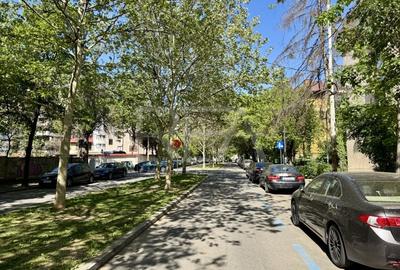 Garsoniera Primaverii | renovata, etaj 1/3 | langa Jean Monnet - 10