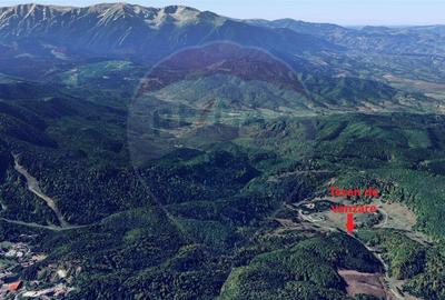 Teren de 1000 mp, în Central