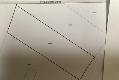Teren de 7700 mp, în Exterior Vest - 5
