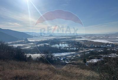 Teren de vanzare - 207.000 mp in Benesat, cu panorama ... - 1