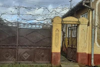 Casă în Cermei - 1