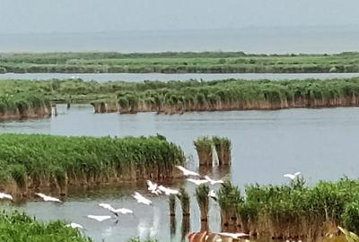 Casă cu 3 camere în Jurilovca - 4
