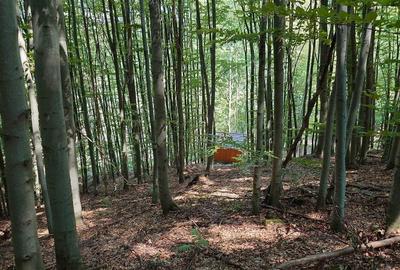 Teren montan cu priveliste si izvor - 5727mp in Buces, langa padure Teren montan cu priveliste si izvor - 5727mp in Buces, langa padure - 7