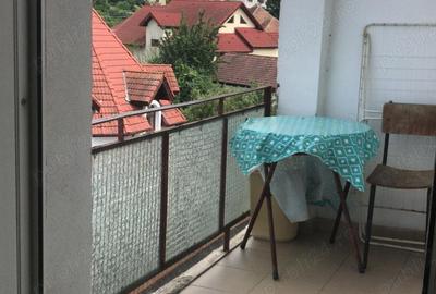 Apartament cu 2 camere decomandat în Vest - 3