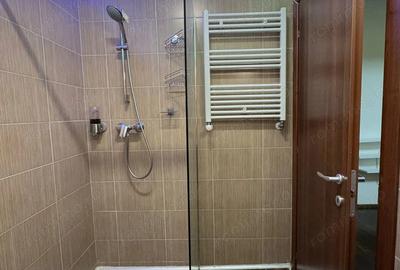 Apartament cu 3 camere decomandat în Snagov - 10