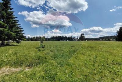 Teren de 9685 mp, în Neagra - 10