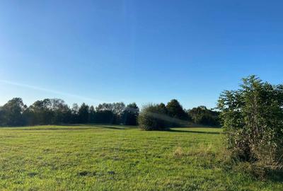 Spațiu comercial, în Sebeș - 8