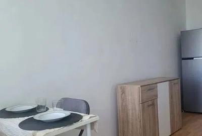 Garsonieră decomandată în Costin Georgian - 3