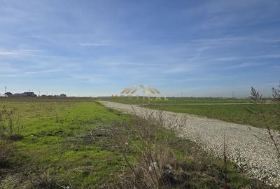 Ultimele 10 loturi in rate! | Berceni/Vidra Ultimele 10 loturi in rate! | Berceni/Vidra - 4