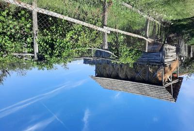 Casă cu 2 camere cu Teren 30 Mp în Târgu Logrești - 6