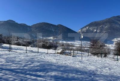 Teren 1000mp, constructie casa vacanta Tohanita - 3