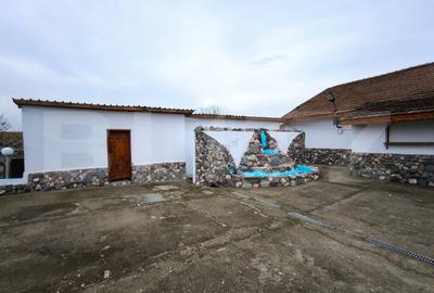 Proprietate specială, de 1,600 mp, în Cernele - 6