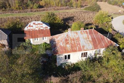 Proprietate de vanzare, 1000 mp, sat Garleni - 4