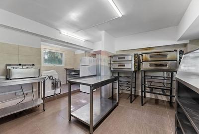 Spațiu comercial, de 75 mp, în Malul Mureșului - 9