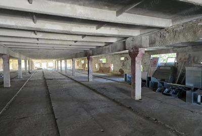Vand hala Zona str Borsului , P+E, SC total -2048 mp , teren 2000 mp , trifazic , acces TIR - 6