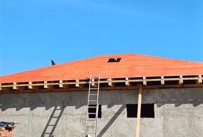 Casă cu 3 camere cu Teren 360 Mp în Lunca Cetățuii - 1