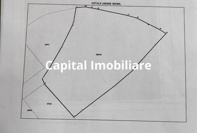 Teren Intravilan Baicoi 1061 mp - 5