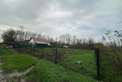 Teren de 1075 mp, în Bițina-Pământeni - 5