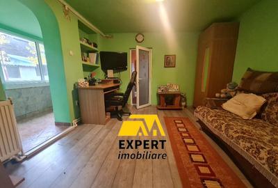 Casa Brailita sup 577 mp ,mobilata complet - 3