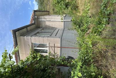 Casă în Sânmihaiu Almașului - 1