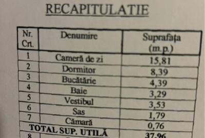 Apartament 2 camere Delfinului Iancului - 11