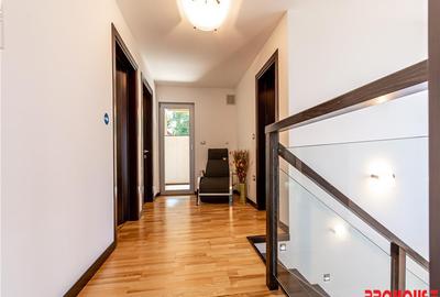 Magura - Barati - Rafinamentul este la el acasa! - 2