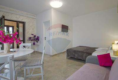 Casă cu 9 camere cu Teren 515 Mp în Stupini - 18