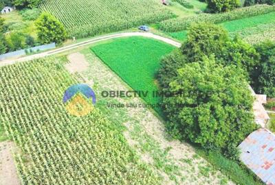 TEREN intravilan GIROV 4133 mp - 3