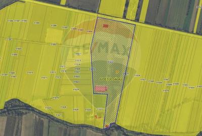 Proprietate industriala de vanzare - 102.420 mp - loc. Zauan jud.Salaj - 3
