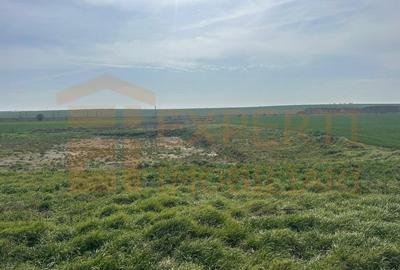 Teren Construcții intravilan de 10000 mp, în Valu lui Traian - 4