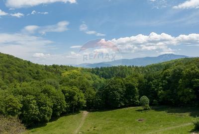 Teren de vanzare - Colonia 1 Mai, 5.310 mp, ideal pentru investitie